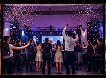 Party guests celebrating